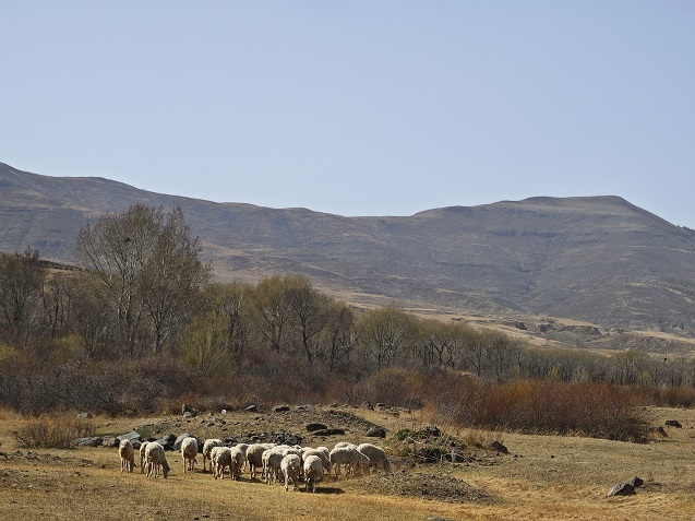 十五年坚守不言悔 长城脚下的守护者